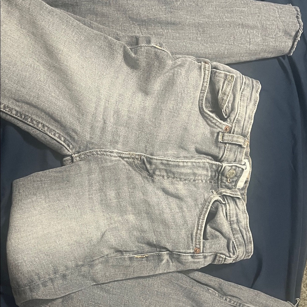 Zara Light Gray Jeans